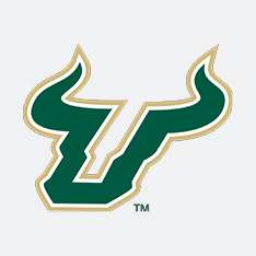 University of South Florida